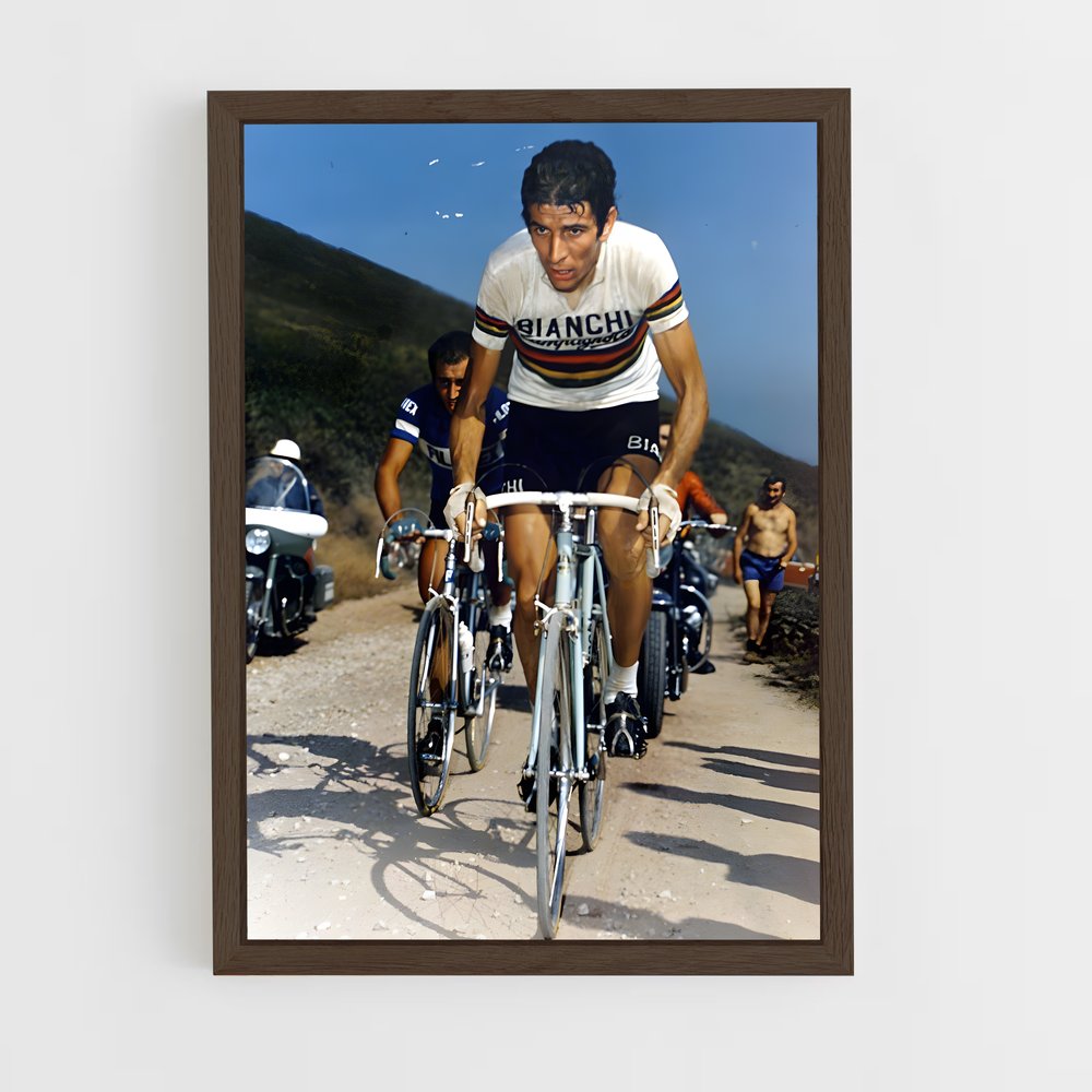 Poster Felice gimondi – affiche Cyclisme (vue 5)